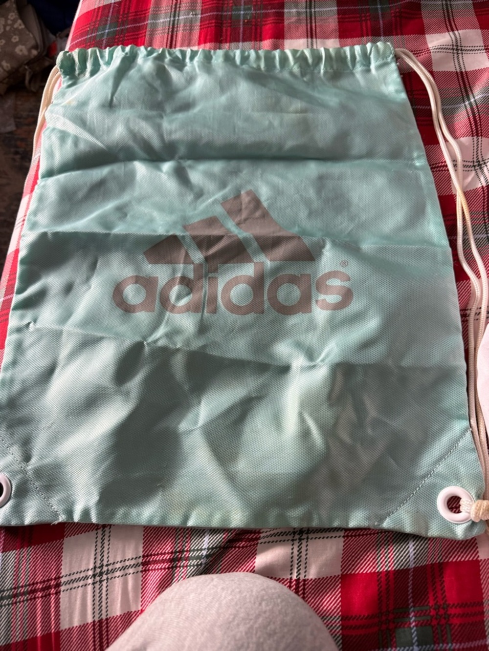 adidas Mint Green Drawstring Gym Bag with Silver Logo